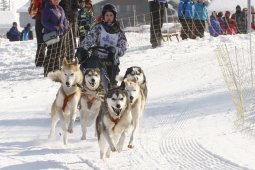Lenk 2012 SM